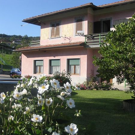 B&B Garden Solto Collina Eksteriør bilde